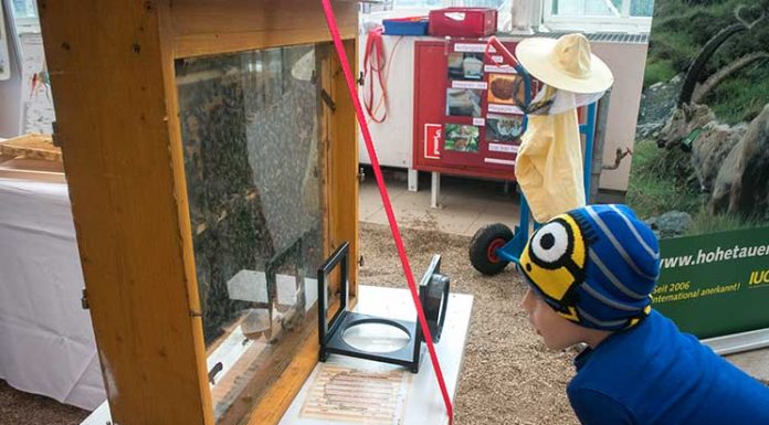 Milka Event im Burggarten – Lila liebt Grün
