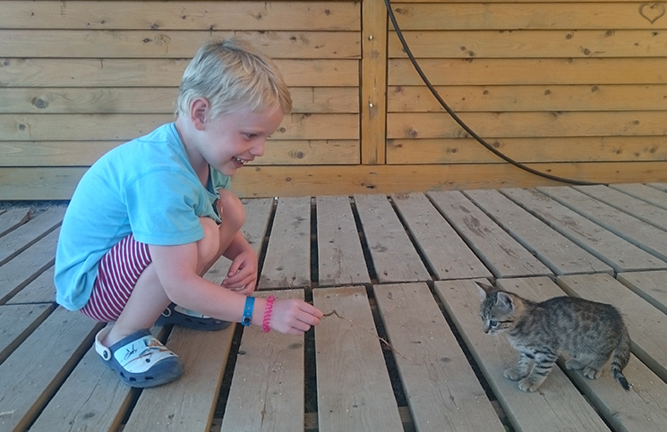 lenny-und-baby-kätzchen-norida-beach