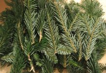 Adventkalender Gewinnspiele 2019 reisig-adventkalender-gewinnspiele