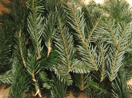 reisig-adventkalender-gewinnspiele