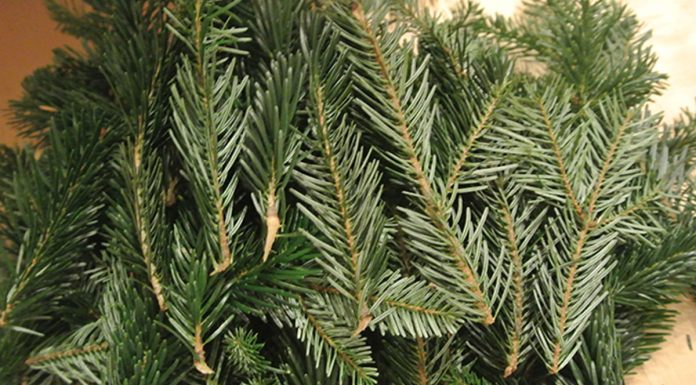 Adventkalender Gewinnspiele 2021 reisig-adventkalender-gewinnspiele