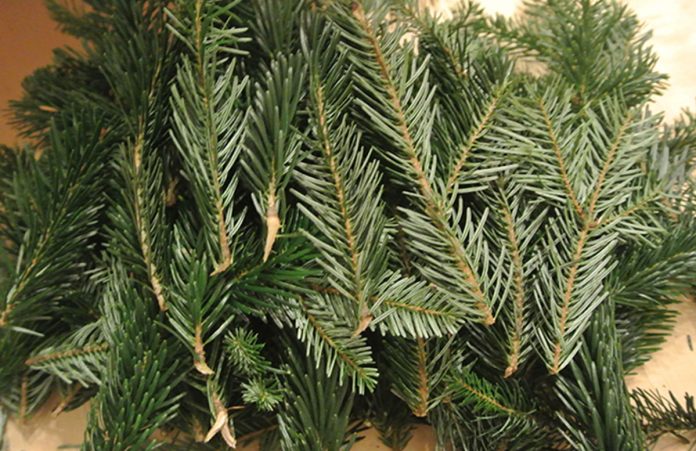 reisig-adventkalender-gewinnspiele reisig-adventkalender-gewinnspiele