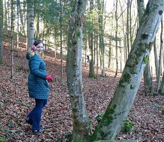 Der Traunsee und die Berge