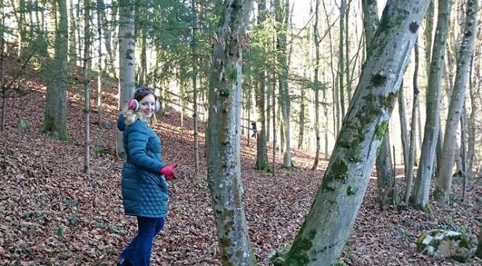 Der Traunsee und die Berge