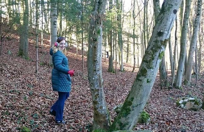 Der Traunsee und die Berge