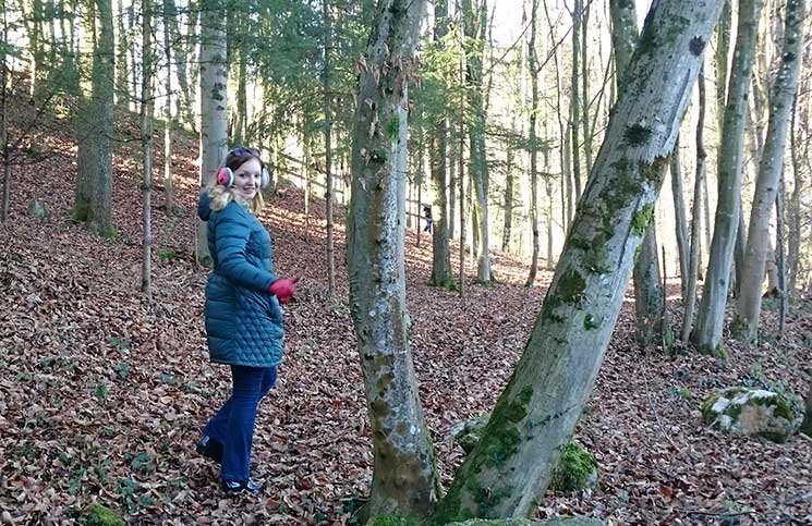spaziergang-im-wald-stückebachgraben-bluetooth-Der Traunsee und die Berge