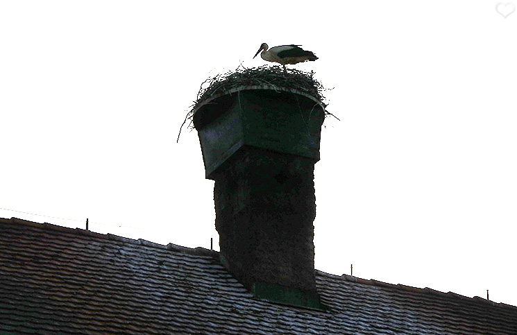 storch-mansion-lovenjak
