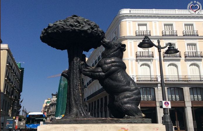 Churros, Paella und Tapas in Madrid