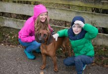 Ein Wochenende in Gmunden – Wandern am Grünberg wandern-am-grünberg-in-gmunden-ausflug-mit-kind-und-hund