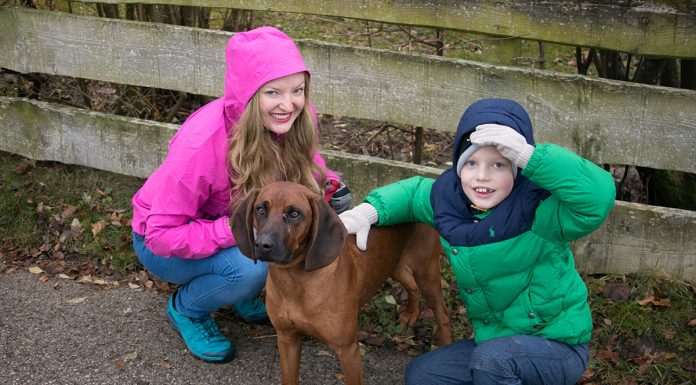 Ein Wochenende in Gmunden – Wandern am Grünberg wandern-am-grünberg-in-gmunden-ausflug-mit-kind-und-hund