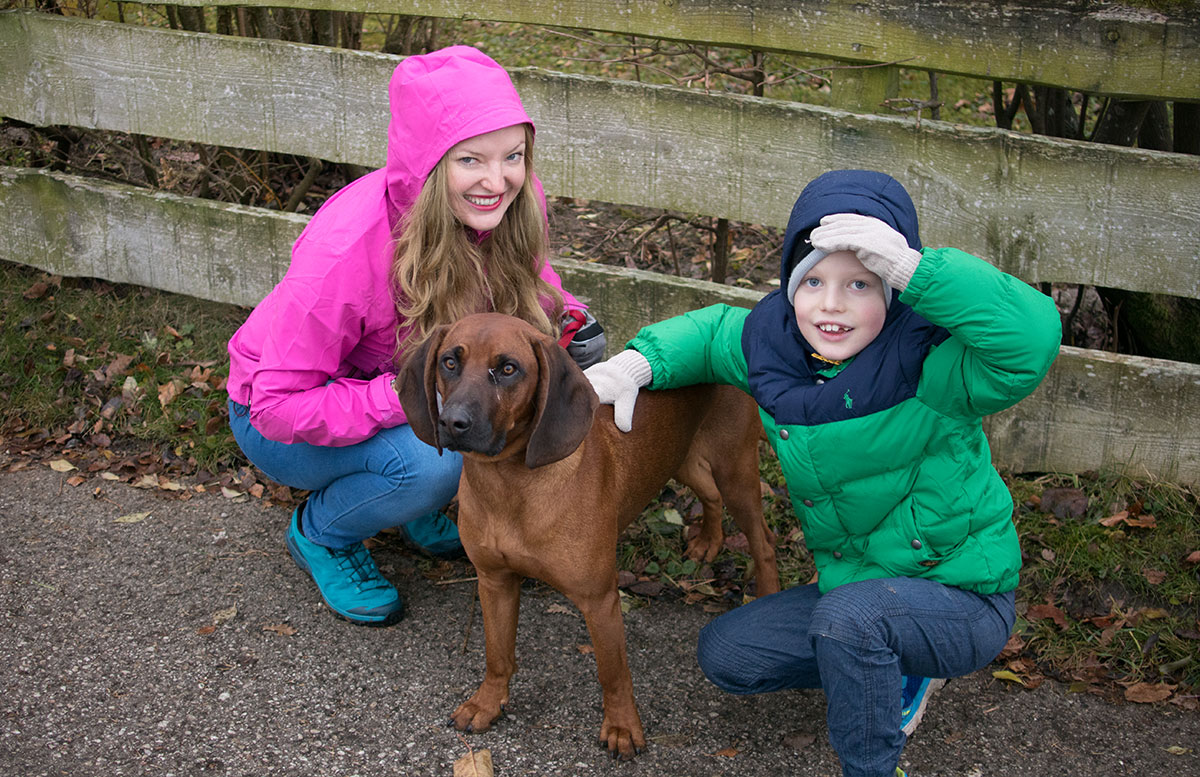 wandern-am-grünberg-in-gmunden-ausflug-mit-kind-und-hund