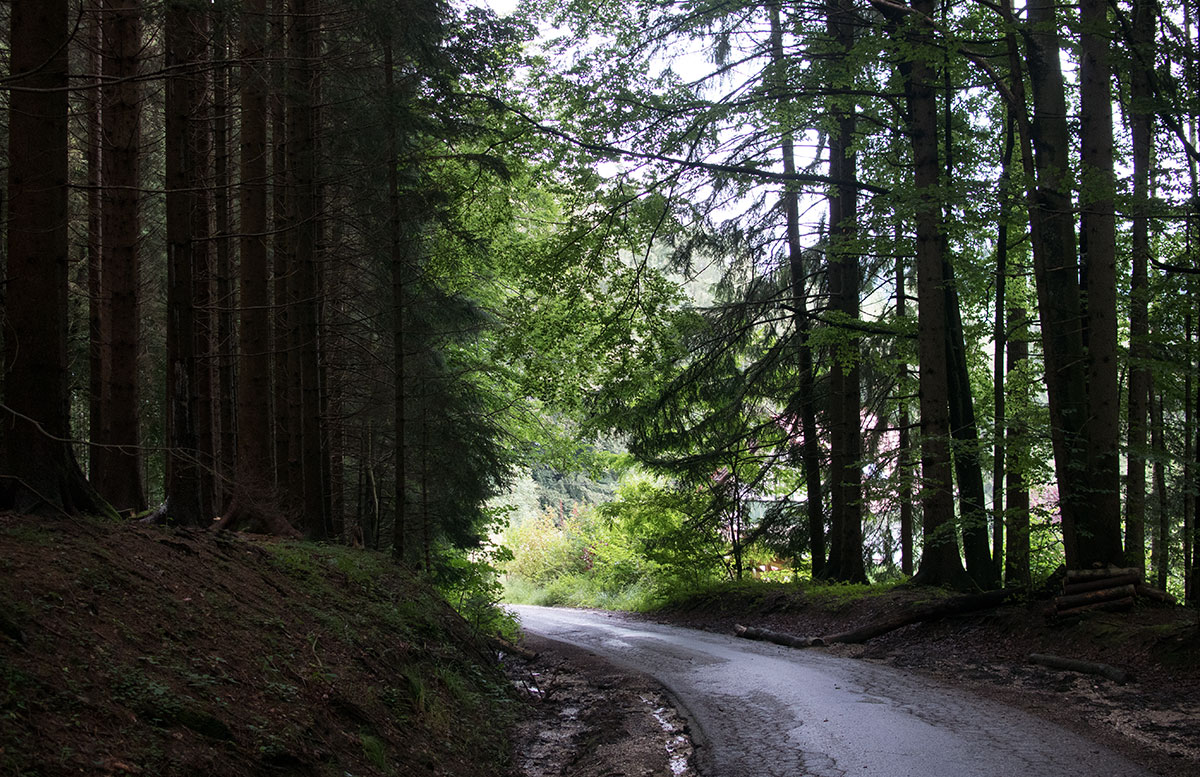 wandern-am-grünberg-in-gmunden