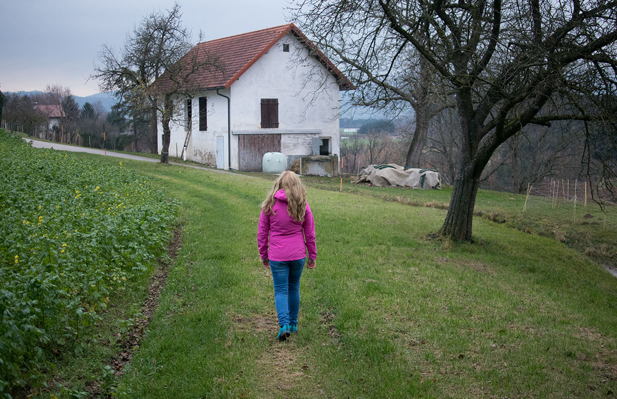 wandern-am-grünberg-in-gmundenweg-entlang-gehen