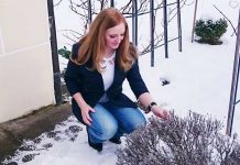 Business Outfit für den Frühling