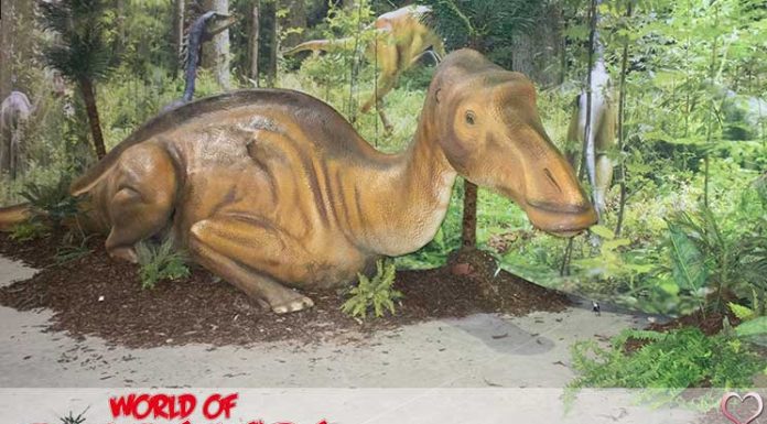 World of Dinosaurs Ausstellung und Gewinnspiel