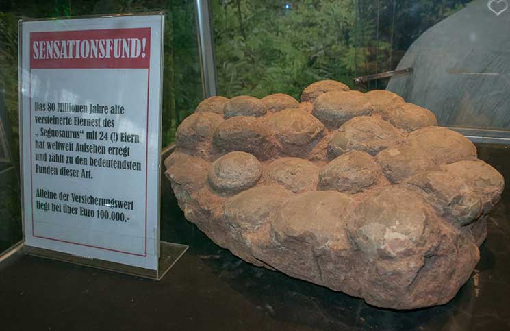 world-of-dinosaurs-versteinerte-eier